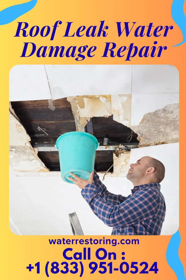 Roof Leak Water Damage Repair in Benson, UT